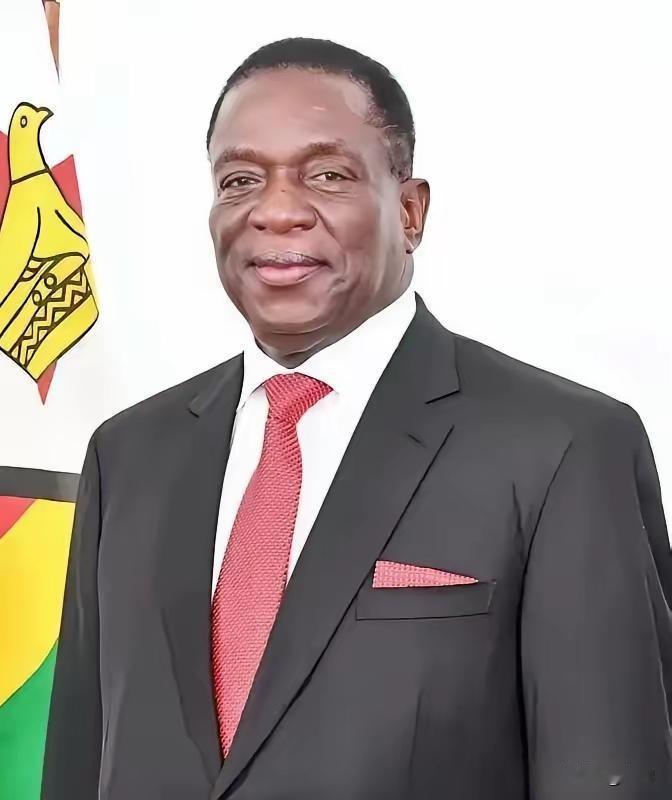 前脚巴拿马不顾中方反对，强行接管了巴拿马港口，后脚津巴布韦突然宣布暂停锂矿出口。