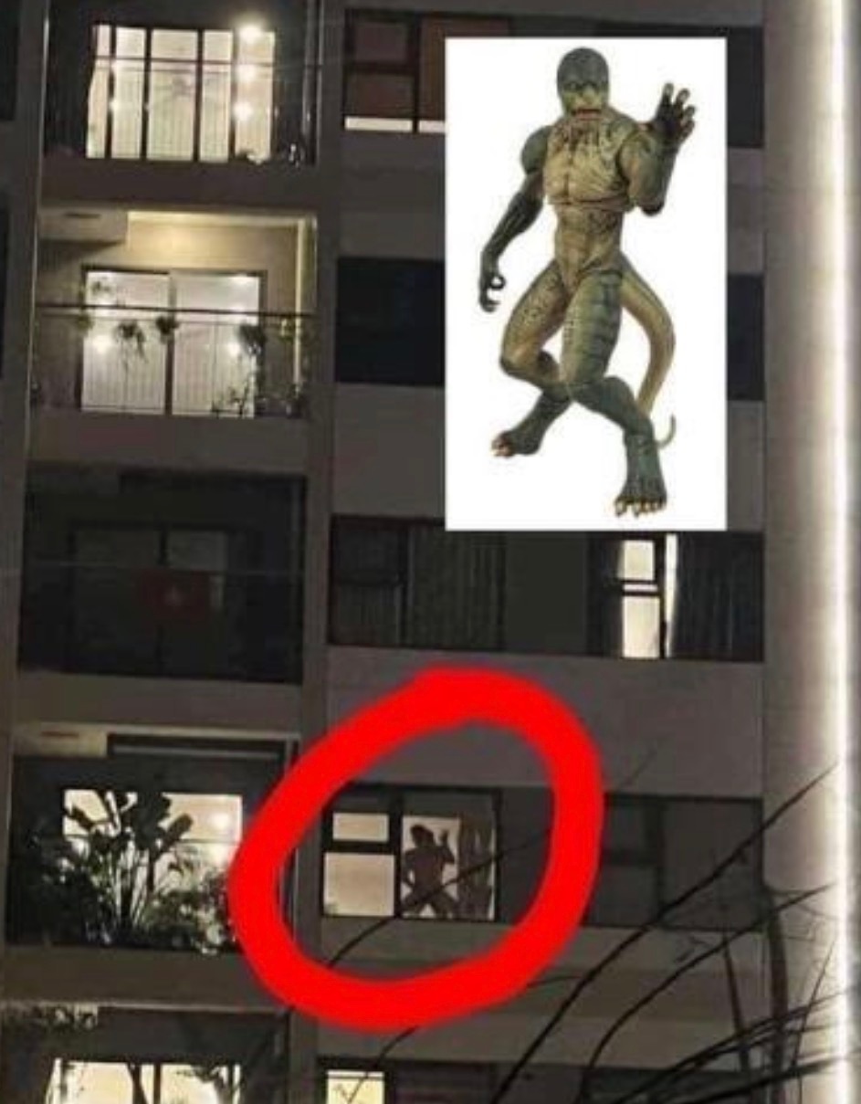 现实·怪奇物语