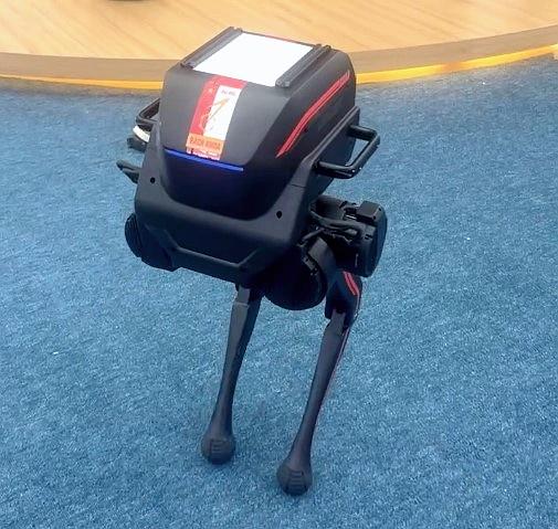 九月,越南建国80周年“国家成就展——80年独立、自由、幸福征程”现场上,越南排