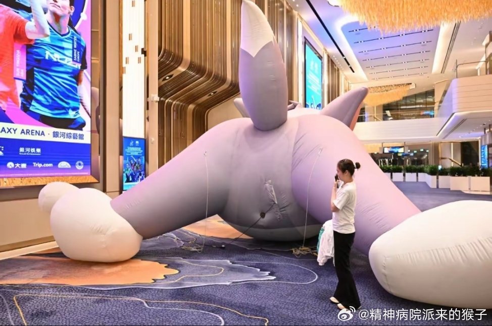 王晓彤：迎万难赢万难✨祝贺中国乒乓球队🏓和汤姆的屁股合影是因为觉得背影也很可