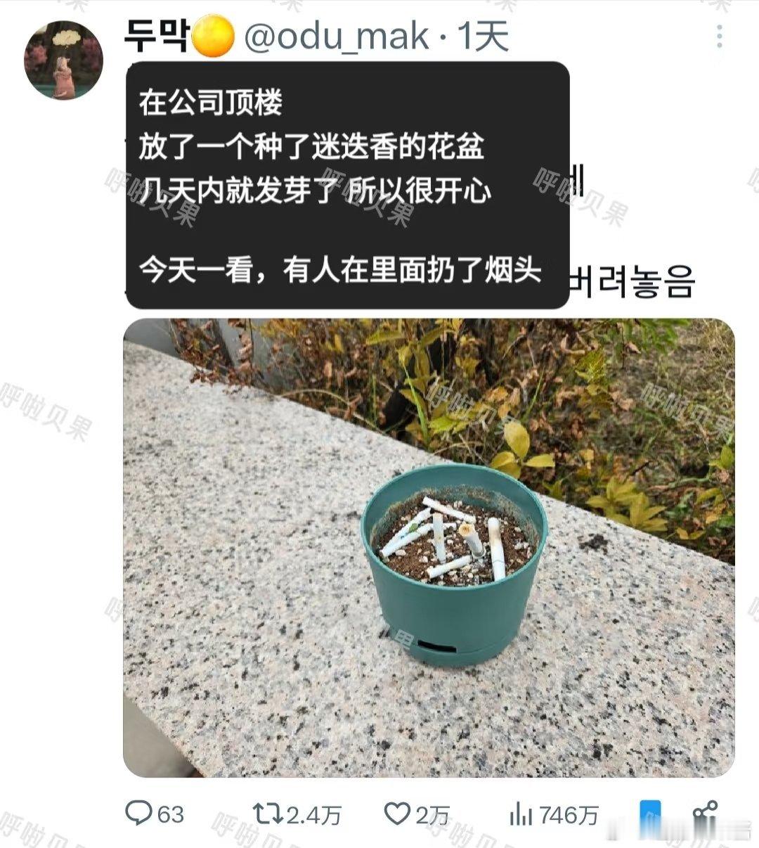 缺德。​​​