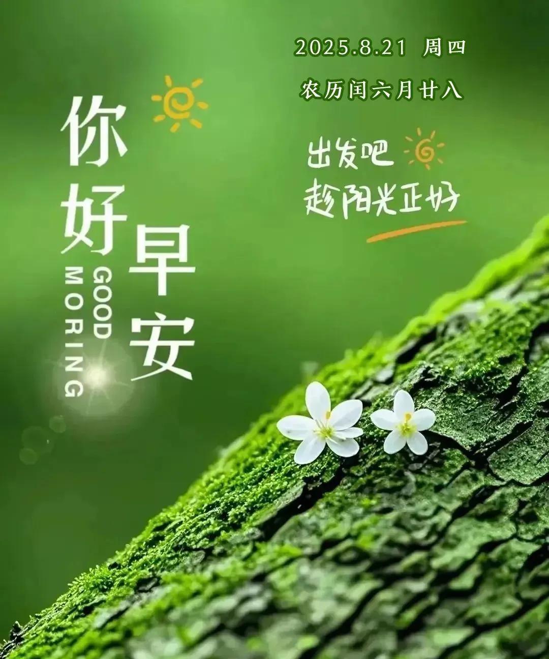 《生活之态》芬芳悄漫轩窗，若梦仙姝浅唱。微风漫卷诗章，字里情韵悠漾。时
