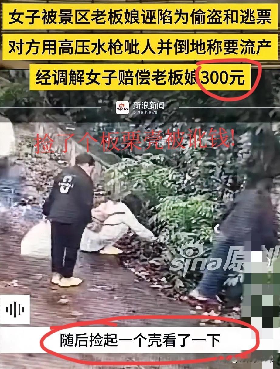 一觉醒来，连云港文旅直接被骂上热搜!国庆去连云港玩因为没见过带壳的板栗？游客