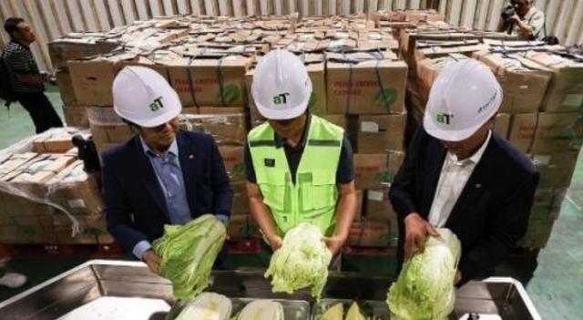 2024年，韩国上千人拒绝食用从中国进口的白菜，本想给中国一个“下马威”，却没料