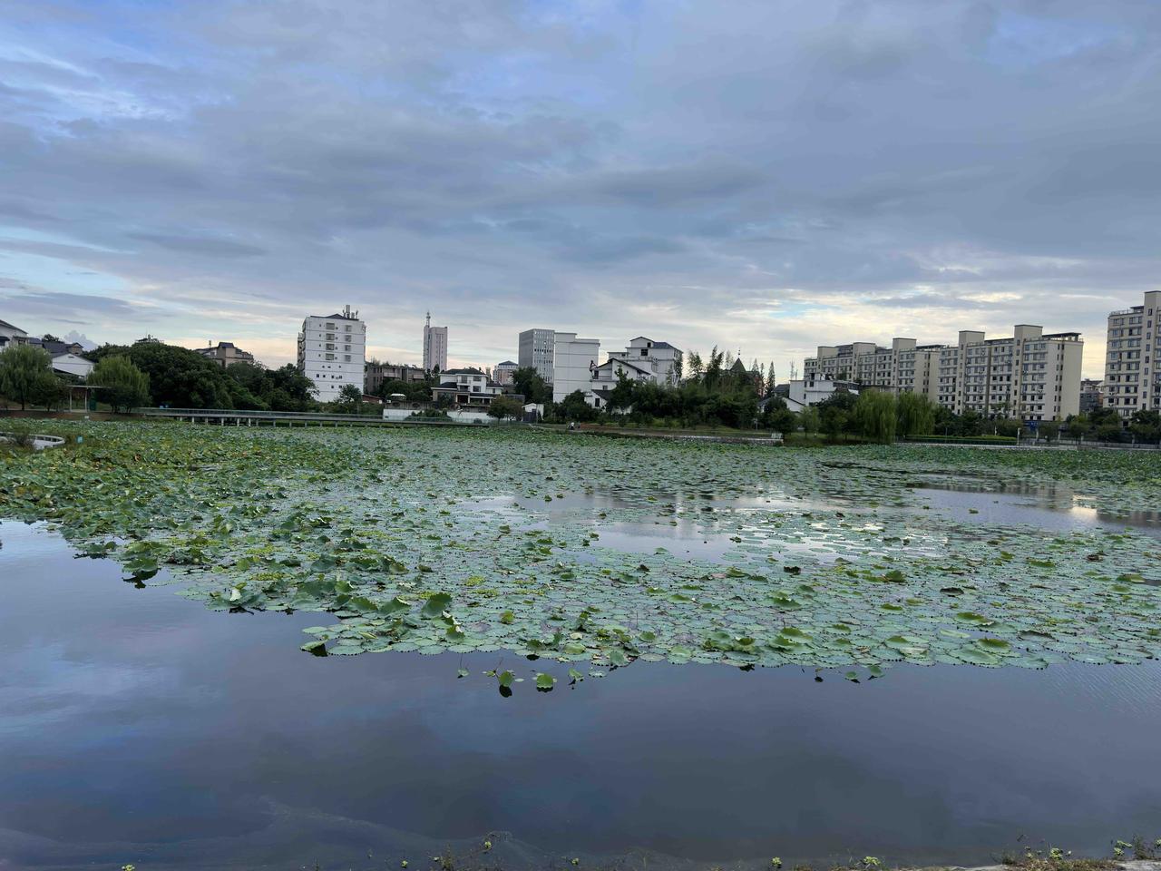 又去看了一家康养机构，是公办的机构。这家康养机构是设在一家三甲医院里面的，占