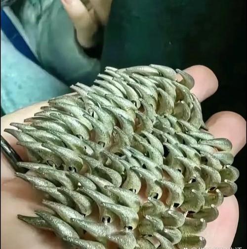 午饭后去河边洗衣，刚放下盆，水浪突然冲来堆沾泥物件。捞起刷净，看着像牙齿，大
