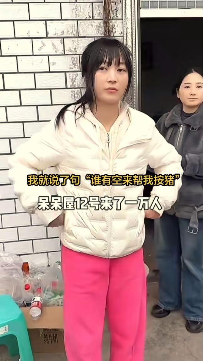 明星的账可以不买，但是人间烟火气必须支持呆呆呆呆凭一己之力让合川火起来了内容