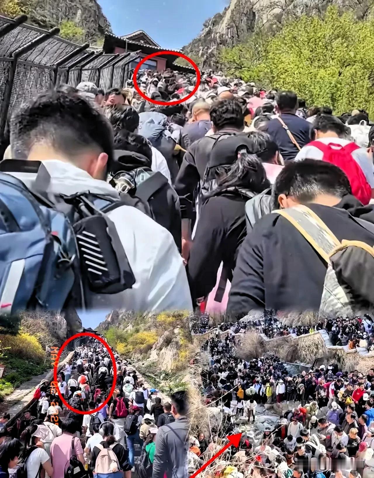 一觉醒来！旅游和没旅游的都沉默了！五一假期凌晨四点的山路上，游客裹着军大衣