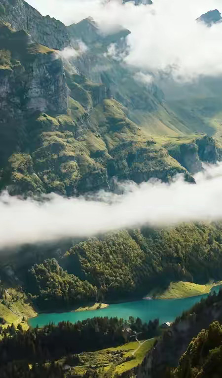 一位老中医说：“你跑再多步，吃再贵的补品，只要你心情不好，天天拧巴，全是白费。四