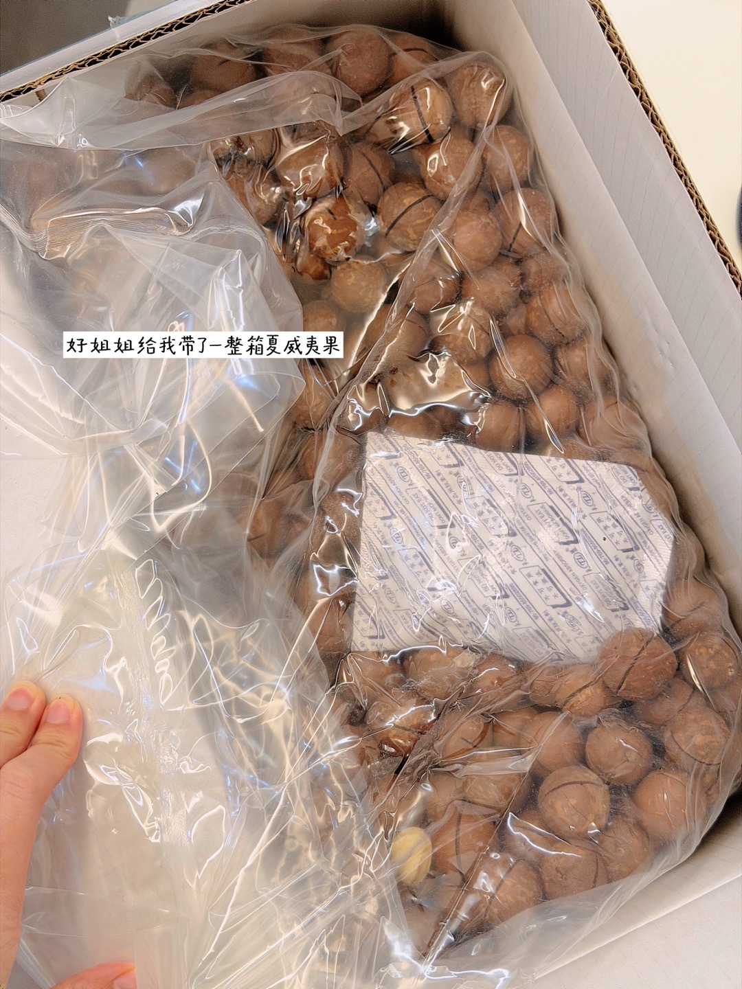 好姐姐给了我一箱夏威夷果下午搬个小凳子和扎扎一起晒太阳嘴闲开始剥不知不觉吃