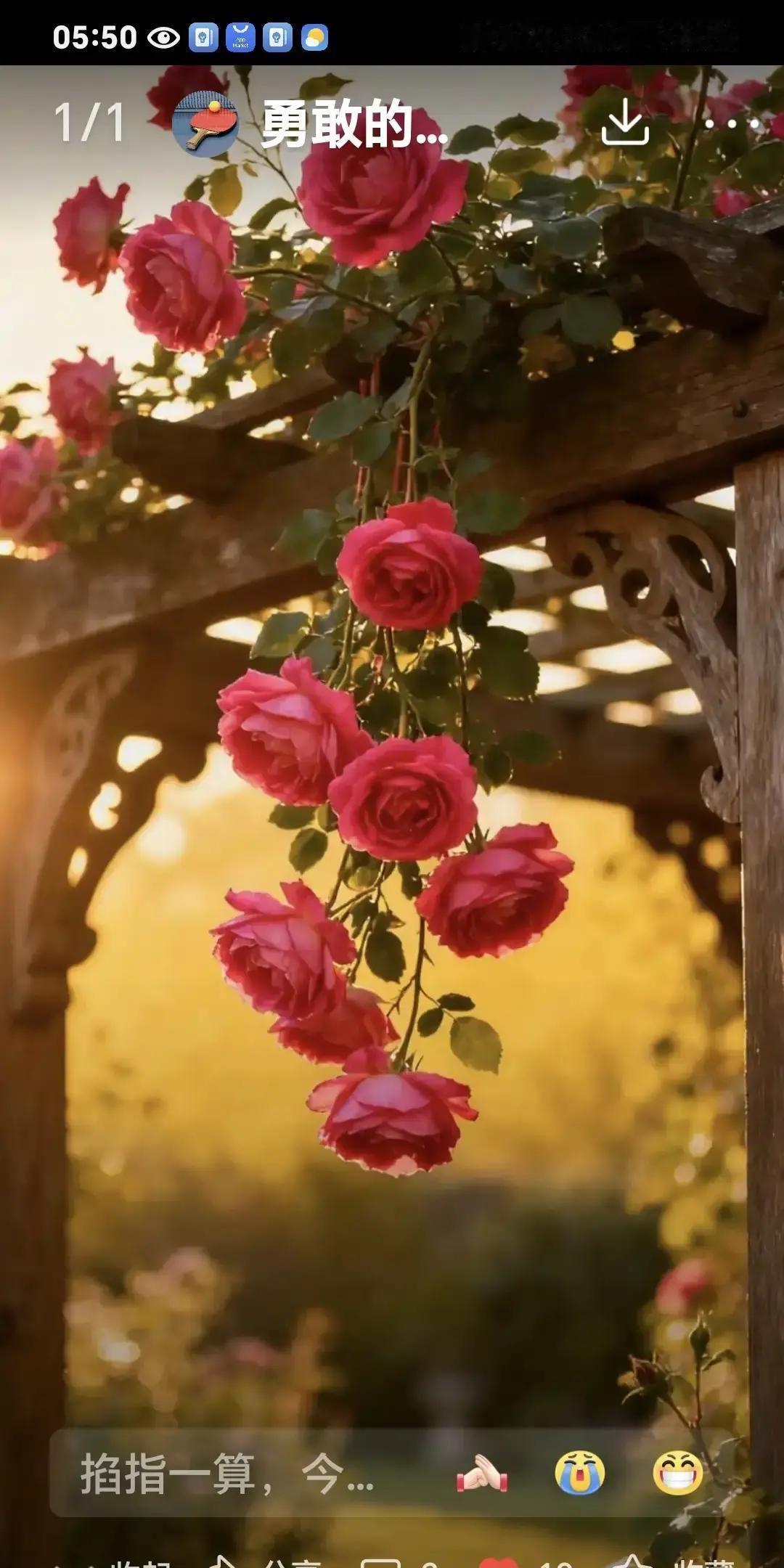 婆婆走了才半年，公公就提出想再婚，还要把新伴名字加进房产证。儿子当场炸了，说妈