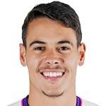 体坛周报前线特派员王晓瑞发回“线报”：巴甲达伽马队的“铁闸”卢卡斯-弗雷塔斯，眼