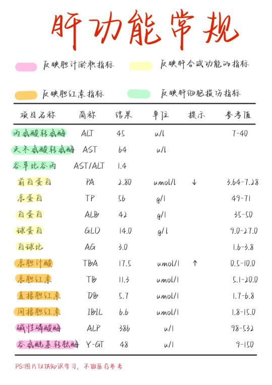 医学生笔记——肝功能报告解读