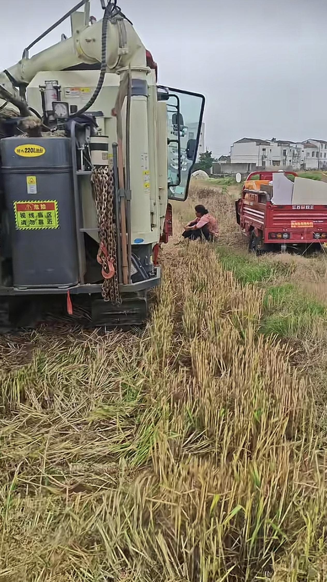近日，湖北襄阳。网友发布视频，河南一男子驾驶收割机在双沟镇收麦子时从麦地旁边的空