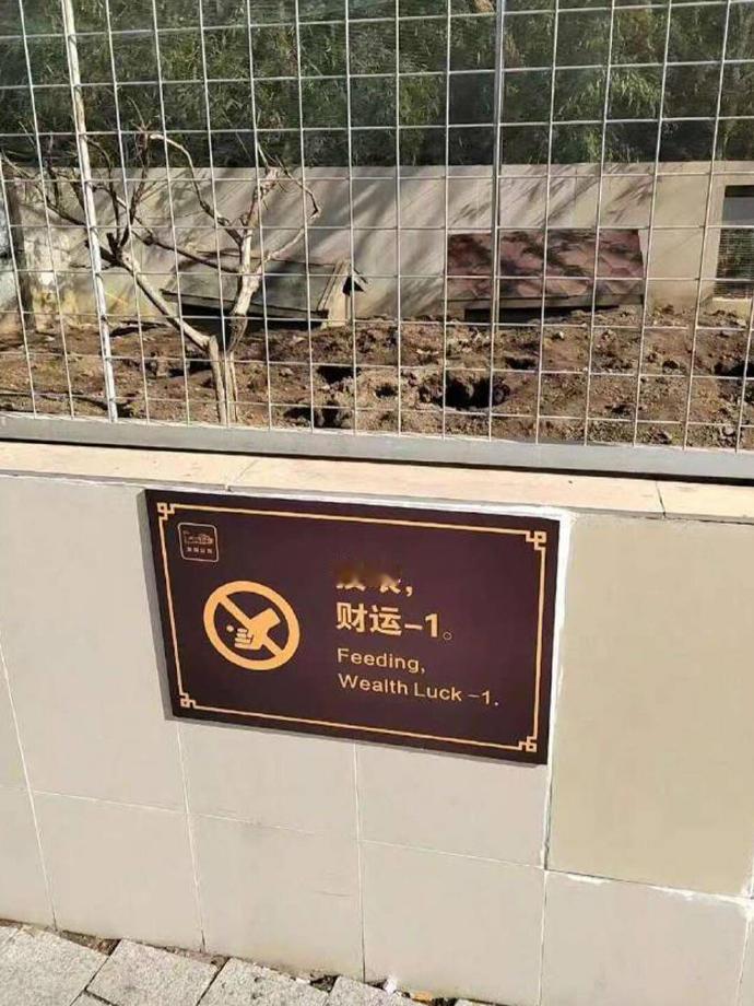 好喜欢这些神戳戳的宣传方式