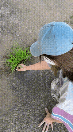 创意无处不在