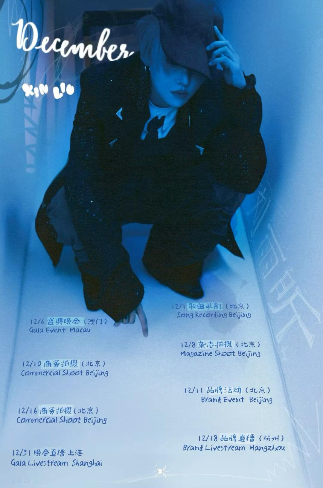 刘雨昕12月行程图来了，晚会杂志商务全都有！