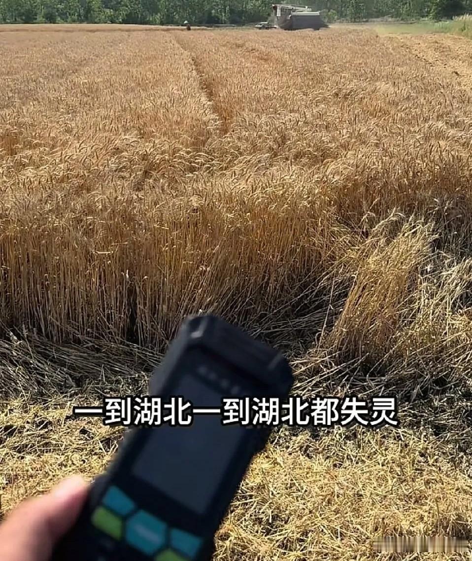 “为什么测亩仪到了湖北就失灵，到底哪里出了问题？”不止有一个农机手在湖北收割小