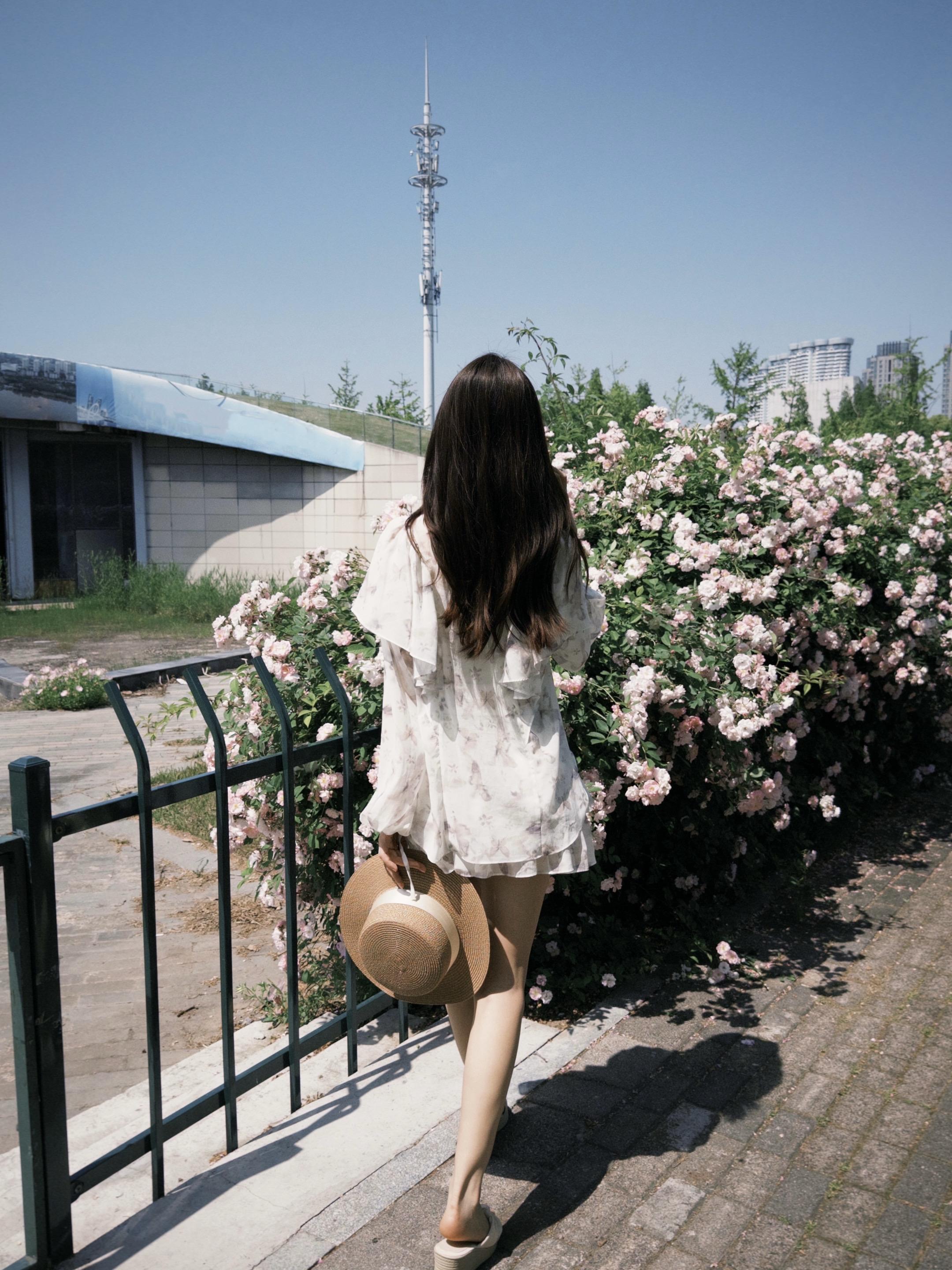 状态不好就做回植物 睡觉 喝水 晒太阳