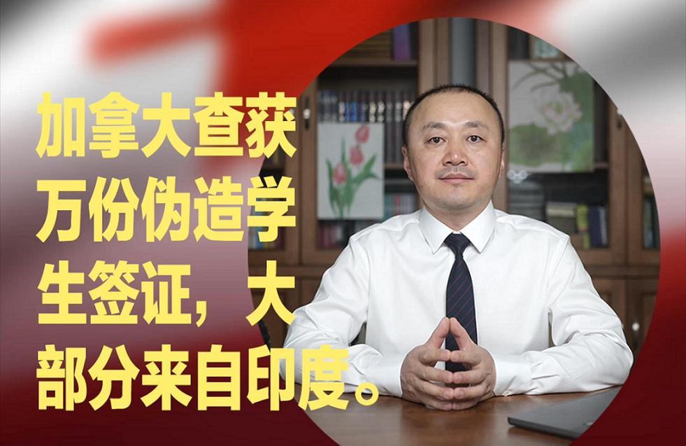 揭秘印度人大量移民海外的方法路径！印度现在已是世界第一人口大国。印度国内是非常