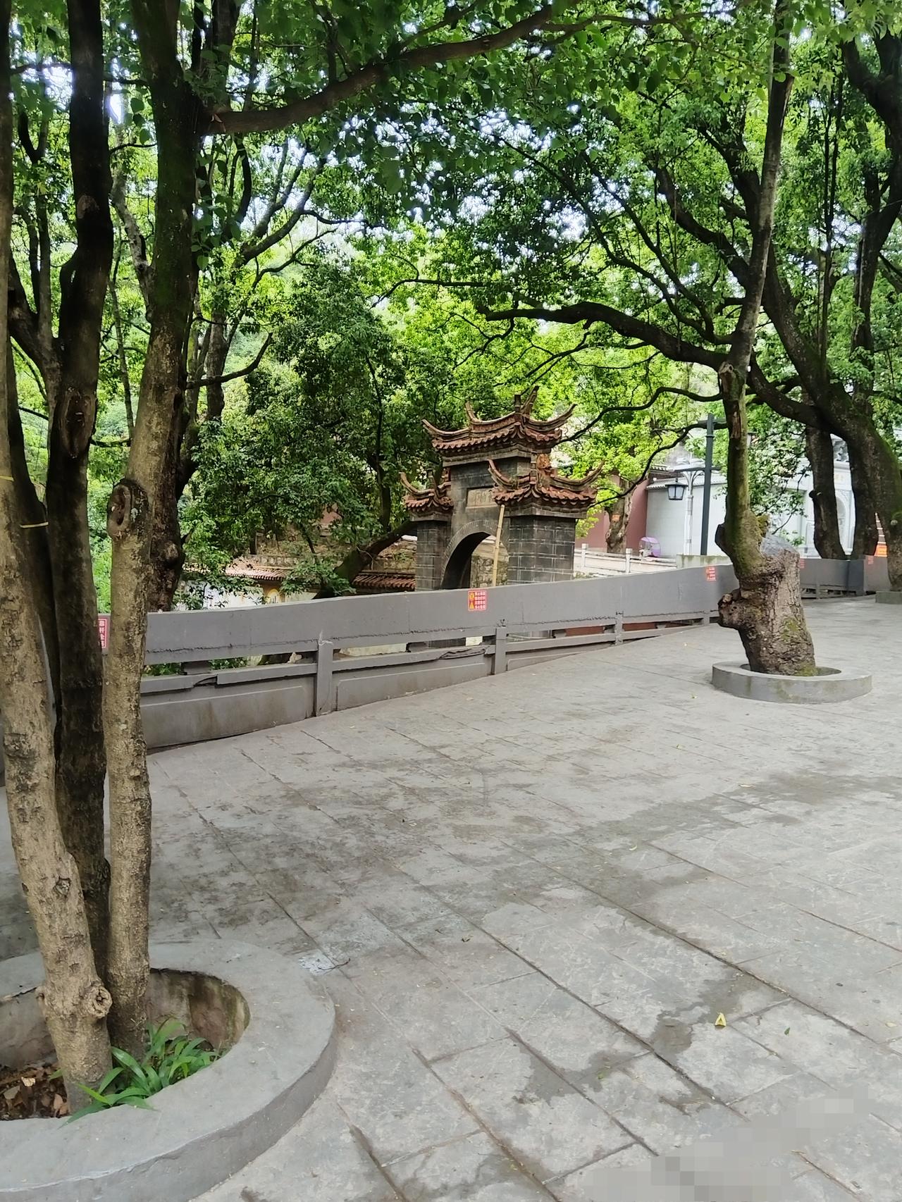 美丽的风景