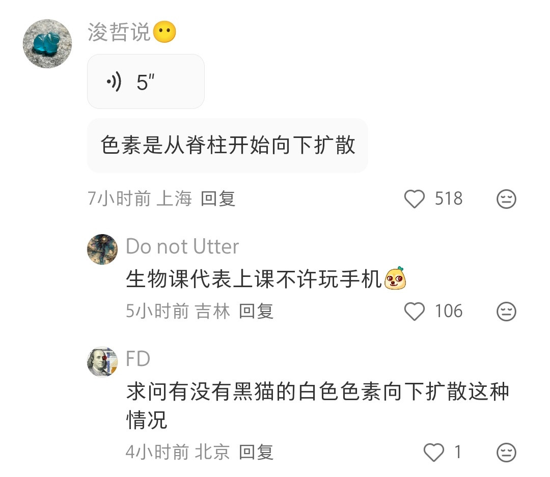 各种配色的奶牛猫