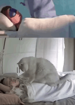 电影源于生活，电影诚不欺我z