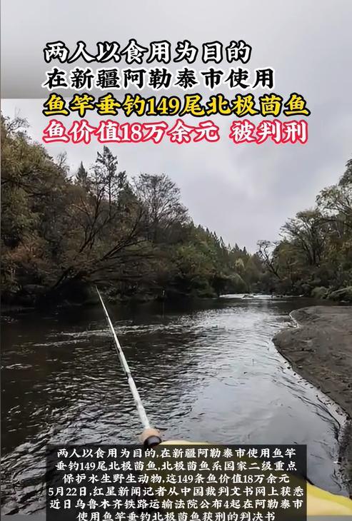 新疆阿勒泰，两男子结伴去钓了131条北极茴鱼，准备带回家烹饪。谁知在回家途中，被