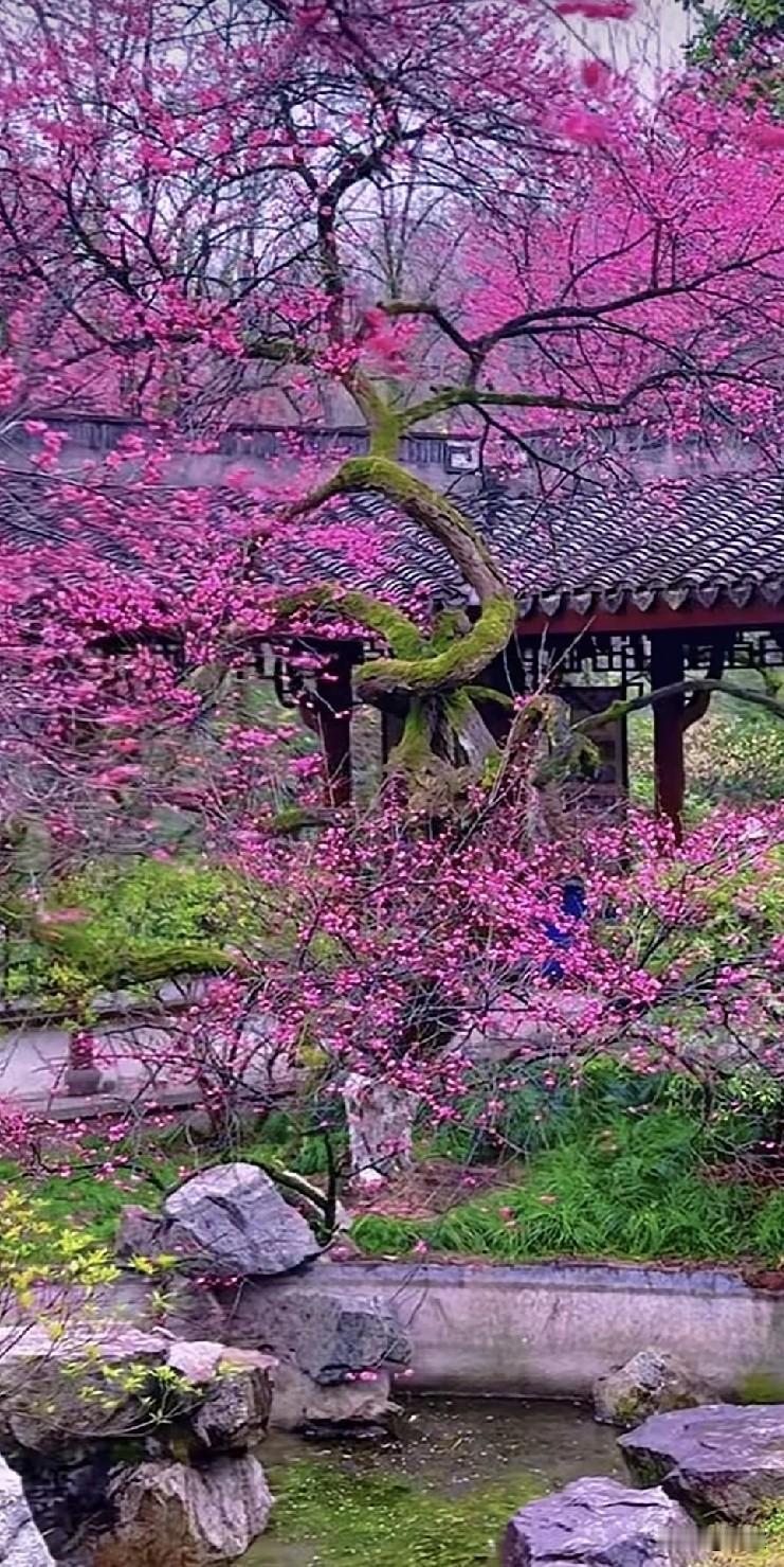 上班之前我家死鬼他弟弟在微信上和我说话，问我方便不，和我语音电话。我说当然方便