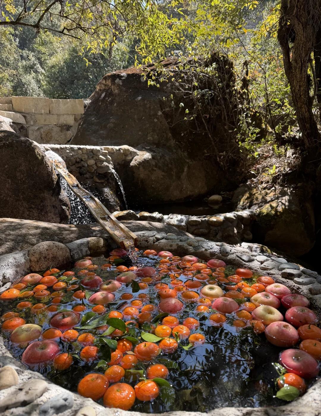 高黎贡山徒步顶配玩法毛毛球森林徒步+烤黑猪排骨+山泉冰果+泡野温泉闯进高黎贡