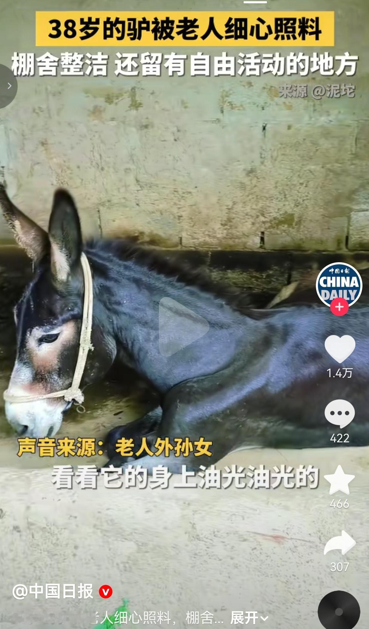 很多人不知道，毛驴普遍寿命也就二十多年，活到38岁，相当于人类的百岁老人。这