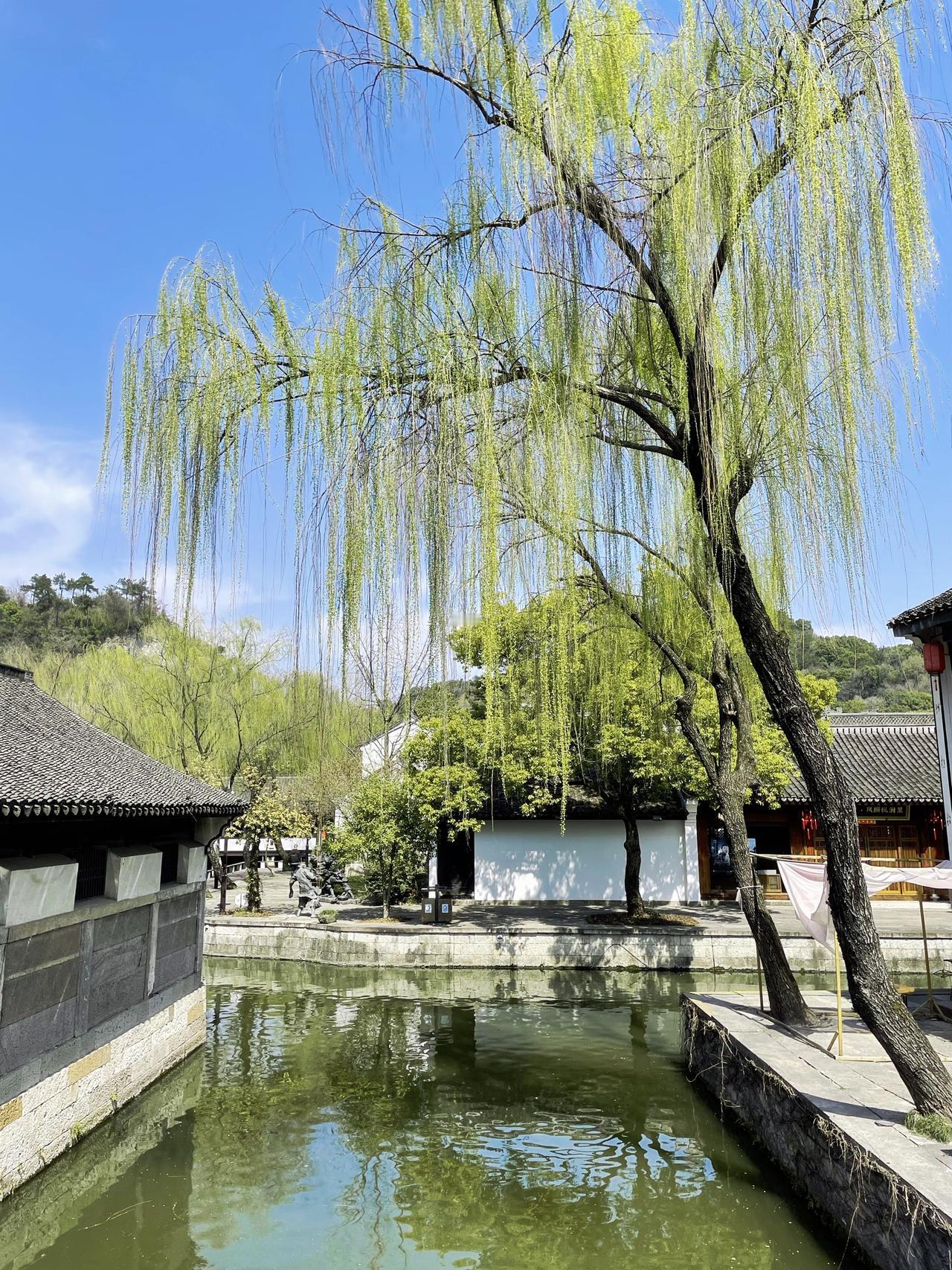 旅行推荐官江南水乡美如画初夏的味道美女日常悦岚