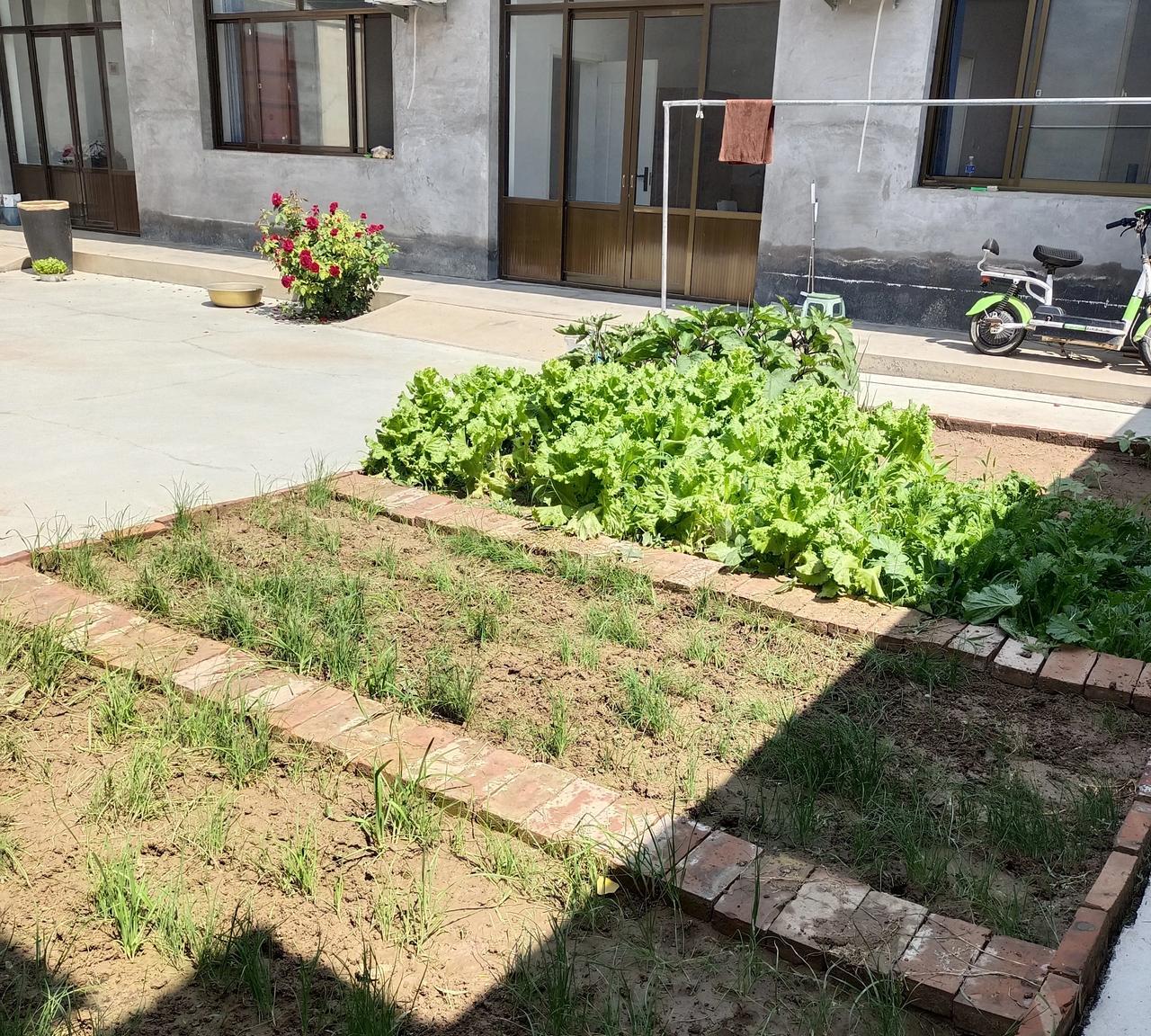 怎么感觉我这一生都在建设家园！老公自己盖的房子，自己挣钱建房都是凑合，，刚结婚