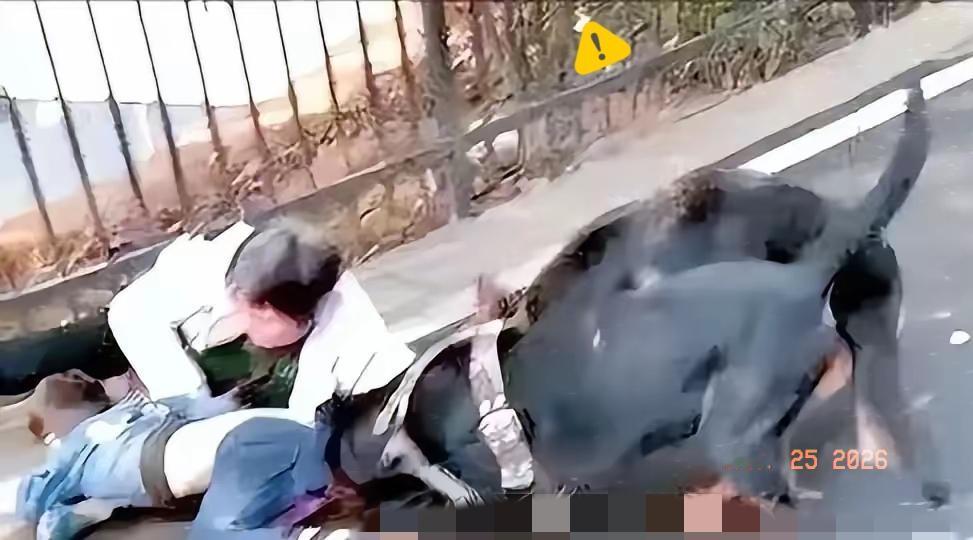 全国人大法工委今天回应了网上流传的“城市全面禁养宠物狗”草案。说是有人大代表提了