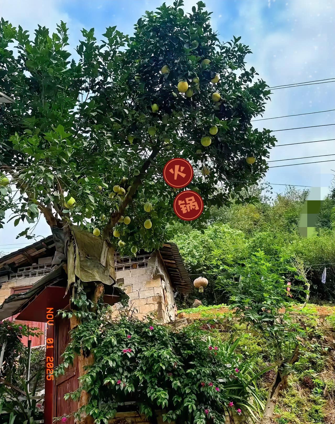 中牟灭门案后，所有人都要明白的6个道理。这6句话哪是简单的道理，分明是用血