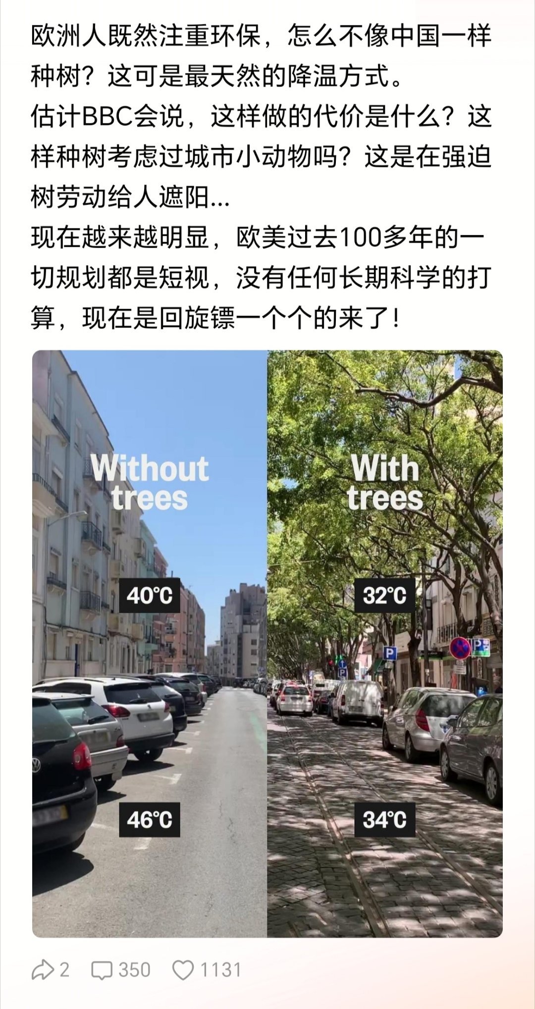 BBC发文称，中国的沙漠治理，栽树绿化是破坏自然生态，你看看这帮人的目光短视就知