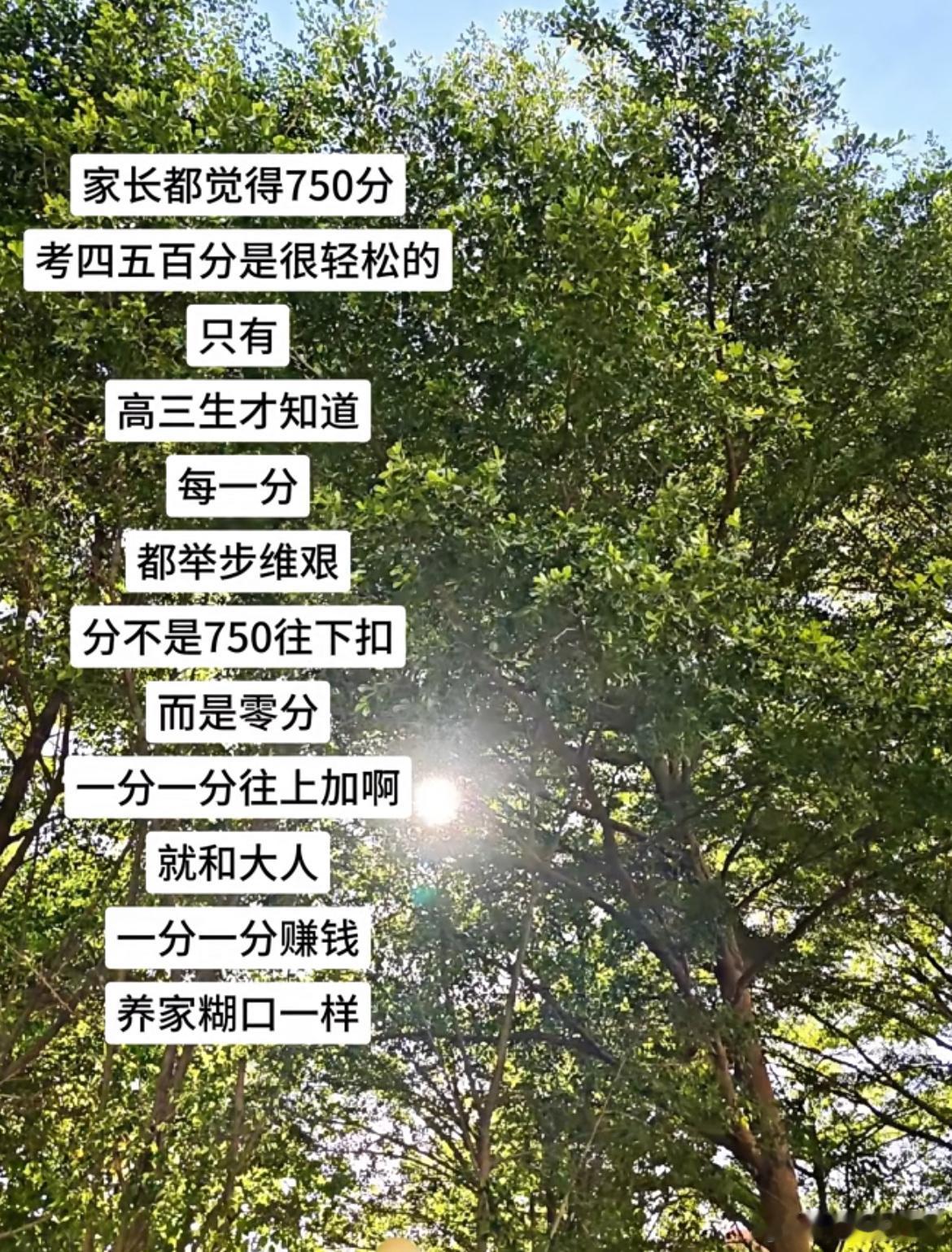 只有高三生才知道每一分都举步维艰​​​