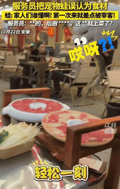 “笑不活了!”安徽,女子带着宠物蛙去吃火锅。不料,服务员误以为是店里的食材,拿起