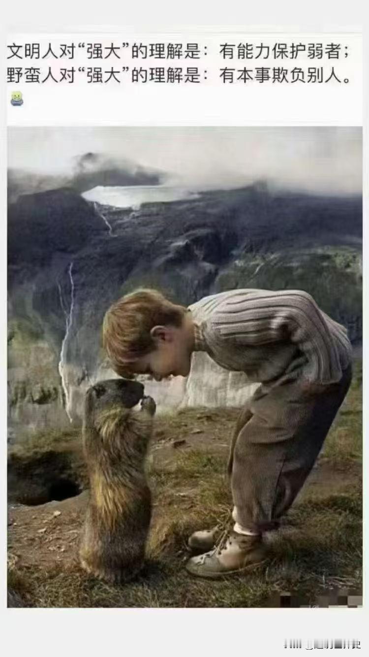 对强大，有截然不同的理解😯