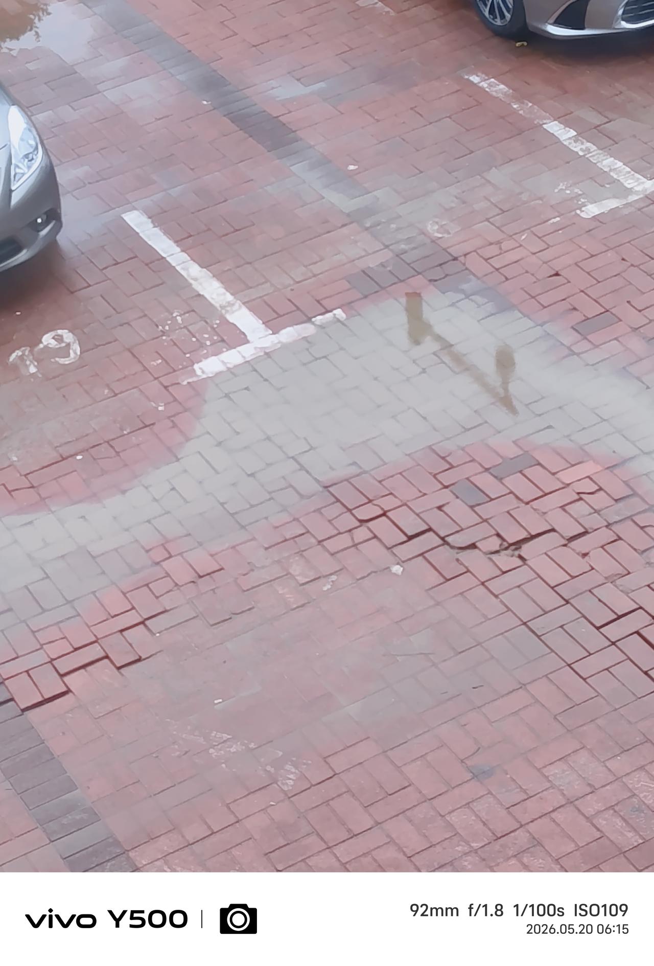大连已经连续下了两天两夜的雨，老王在家里实在闷得受不了，早晨趁着下雨的间歇准备出