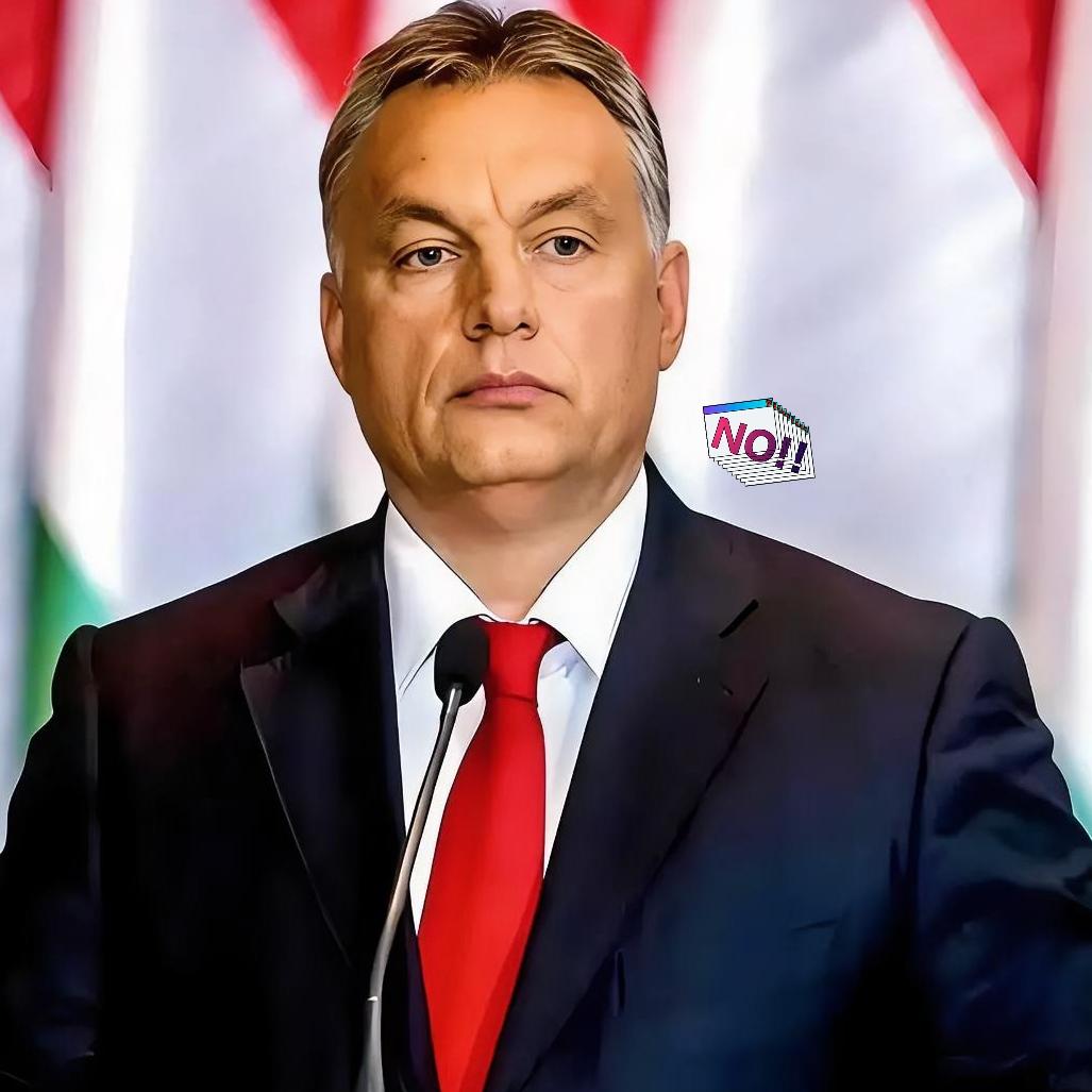 长协签到2036年！欧盟一句话作废，匈牙利百亿合同打水漂？欧盟太狠了！24