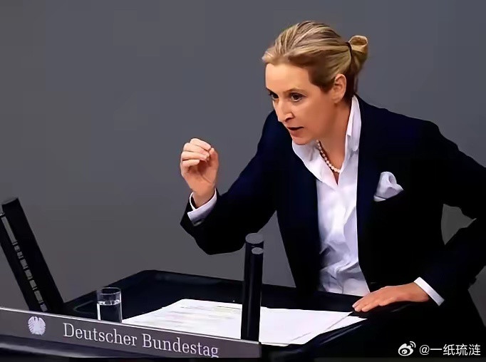 德国选择党彻底爆了！魏德尔支持率冲到81.3%背后，德国人为何突然转向？魏德尔这