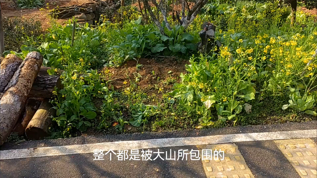 自驾穷游进入广东山区, 路修的真好, 山区景色很棒