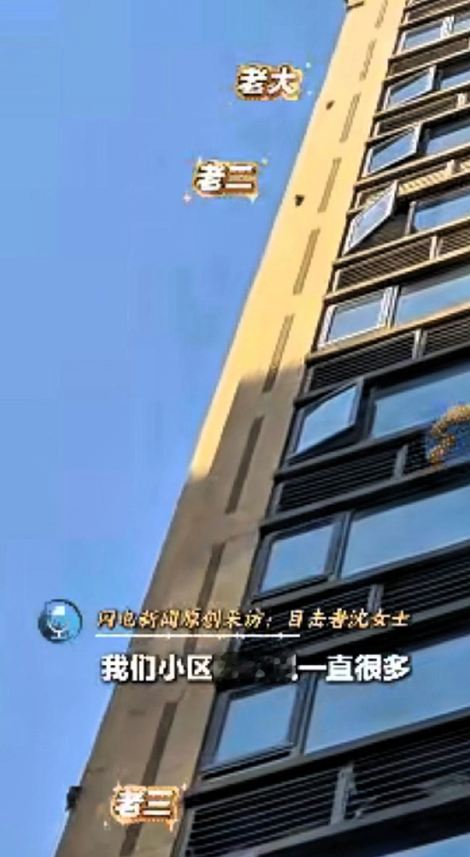 这下真不是玄学！杭州女子出门撞见黑影爬墙，凑近一看竟是三只小松鼠排队上楼，跟着