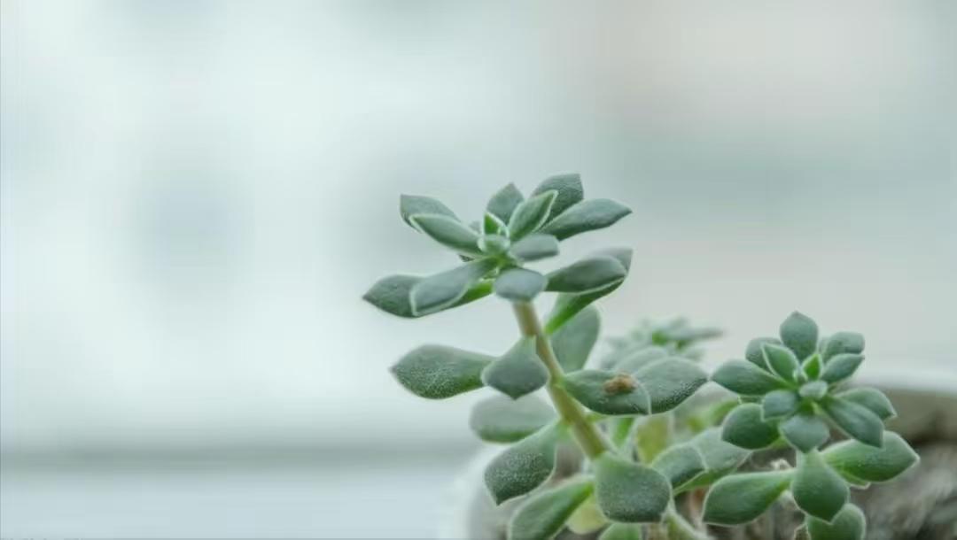 要退休的同事拒绝参加体检，他的一句话点醒了我。今年的体检又开始报名了，有个马