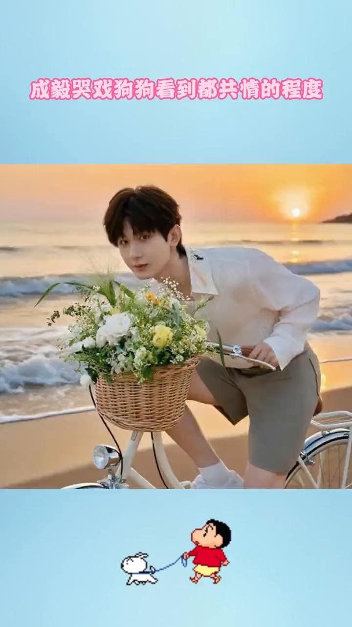 在冷漠的人看到小狗安慰诚意都会被触动吧？原来诚意每次演戏真的都是真情实感。看到诚