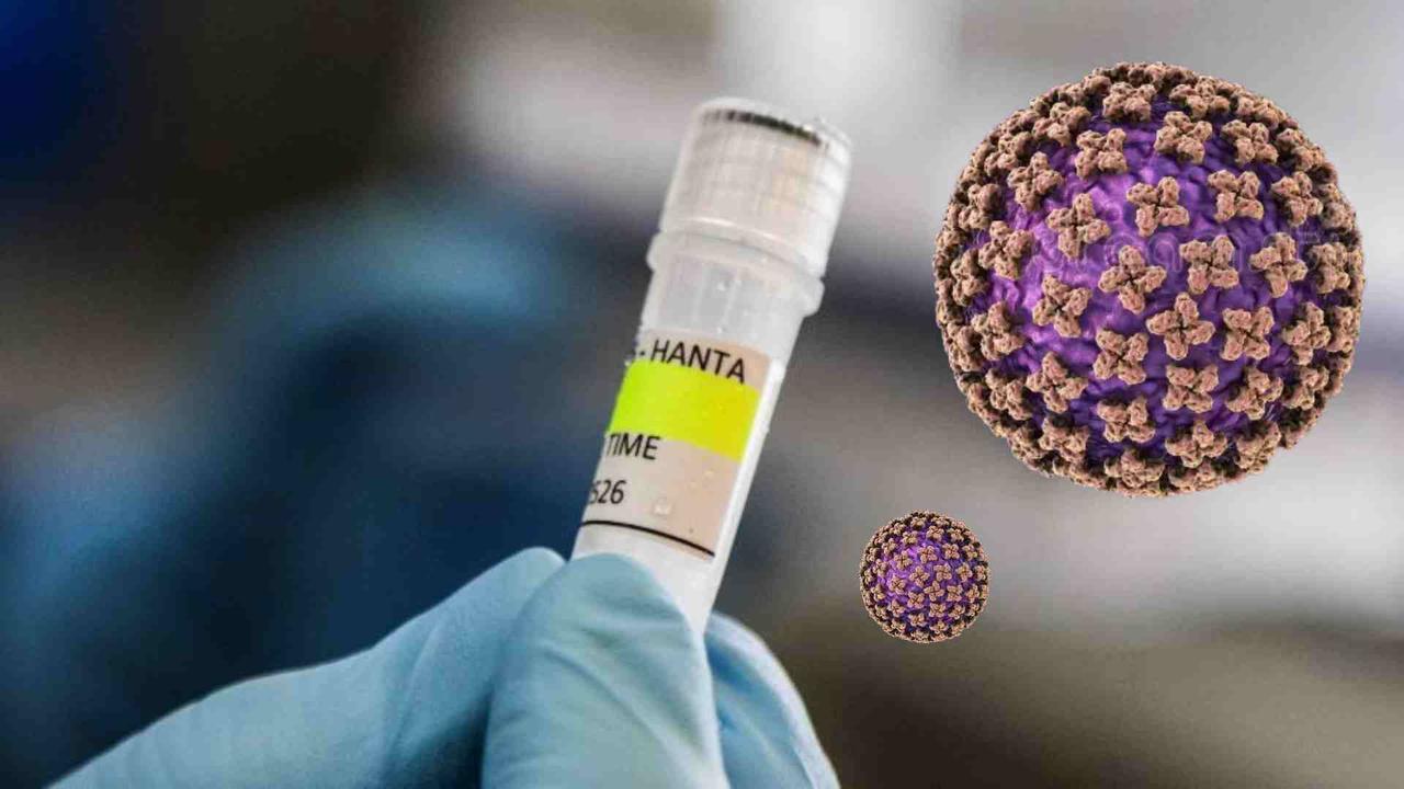 科学研究显示，部分汉坦病毒可在人类男性生殖道中长期潜伏其基因组在精液中的存活