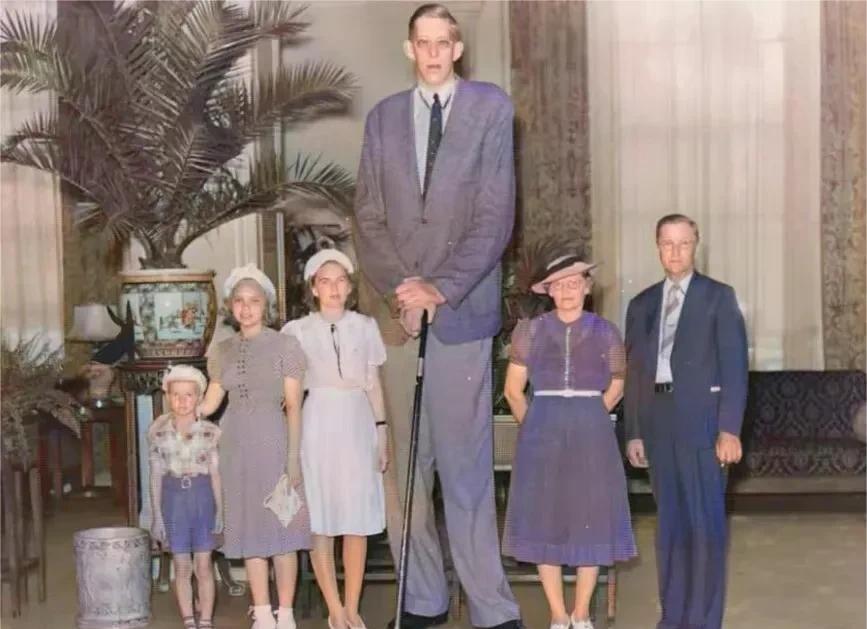 1940年7月，世界第一巨人去世，因为担心有人盗尸，将其遗体放入500公斤的水泥