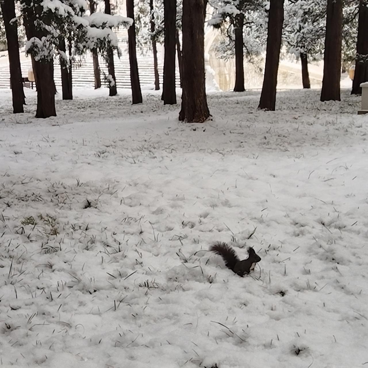 2026中国民营企业500强，东三省只有四家上榜民营企业是就业的主力军，东三