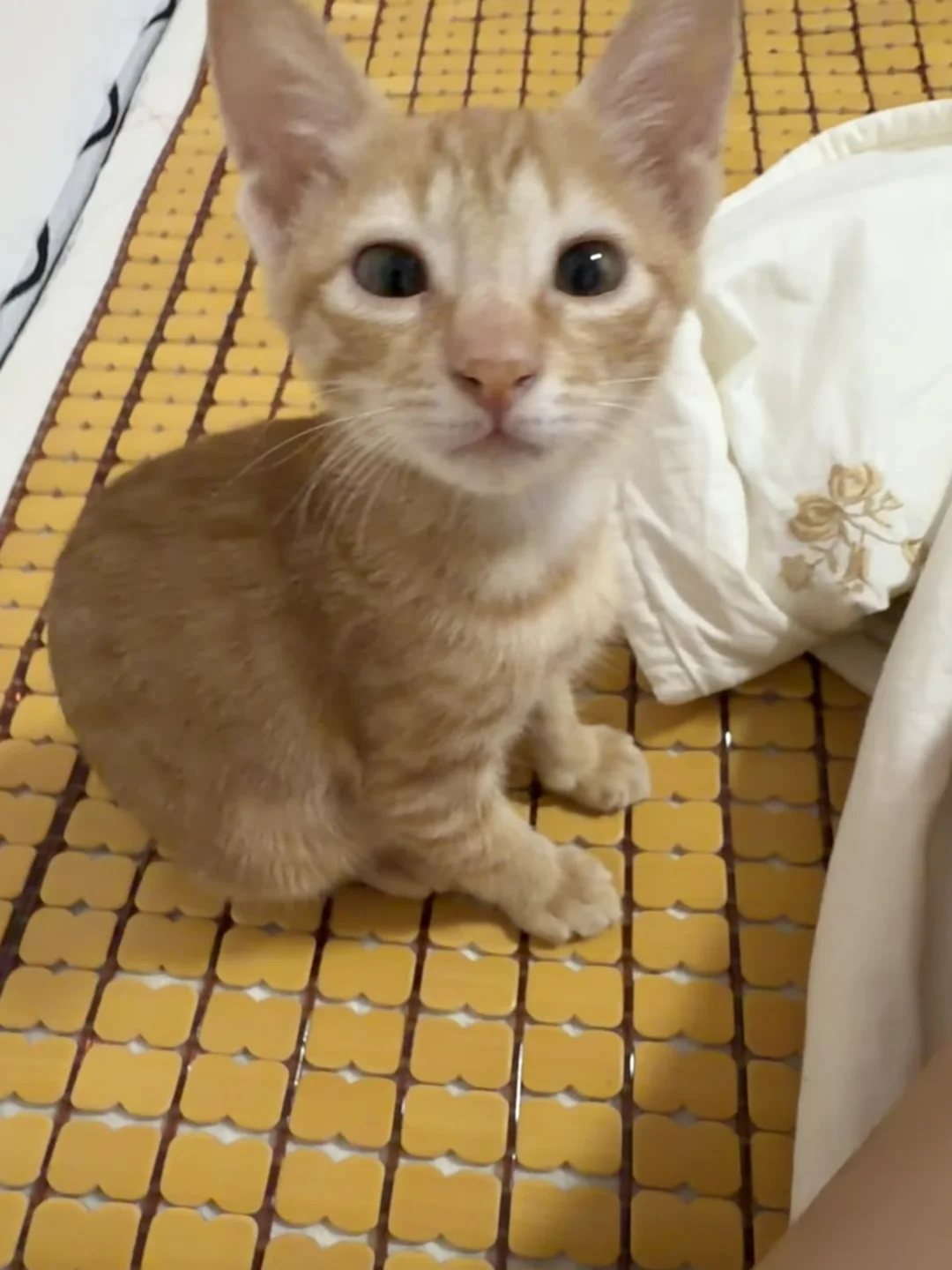 人！泥嚎！！！
